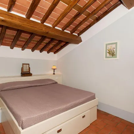 Campodori By Interhome San Martino in Freddana